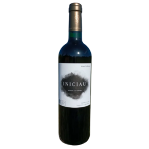 Domaine de Beyssac - Côtes du Marmandais "Iniciau" 2018