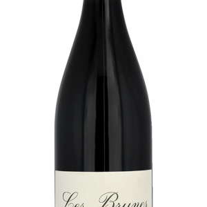 Philippe Chesnelong - Les Brunes 2023