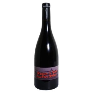 Domaine Dubost - Moulin-à-Vent Naturel 2020