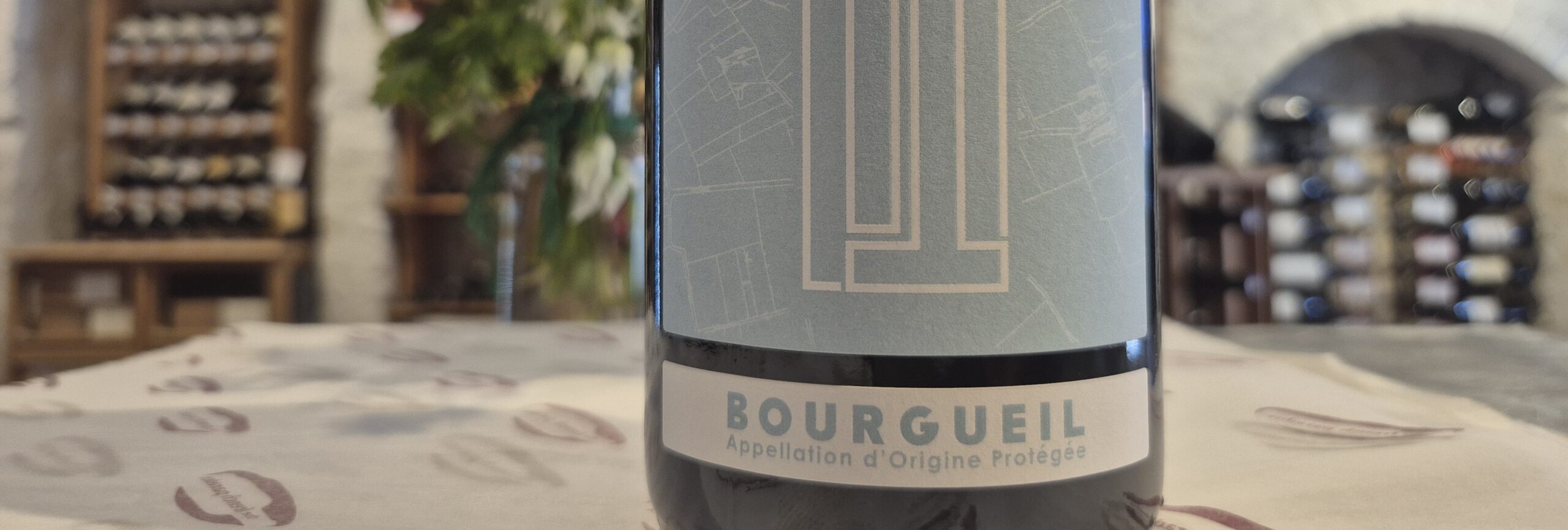 Bourgueil 2023 – Domaine Petit Bondieu