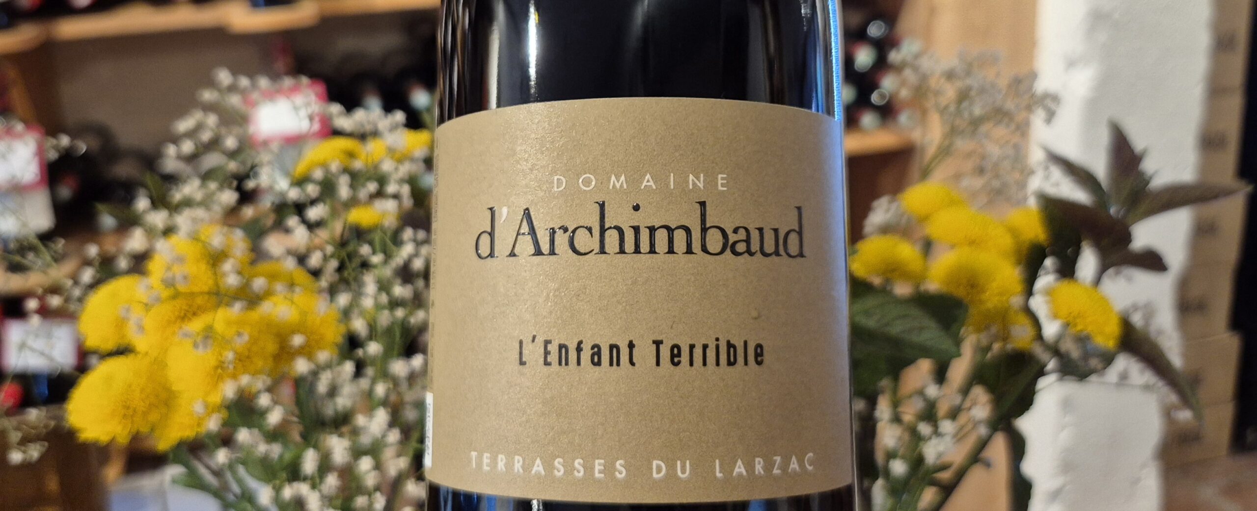 Domaine d’Archimbaud “L’Enfant Terrible” 2024 – Terrasses du Larzac with character and balance